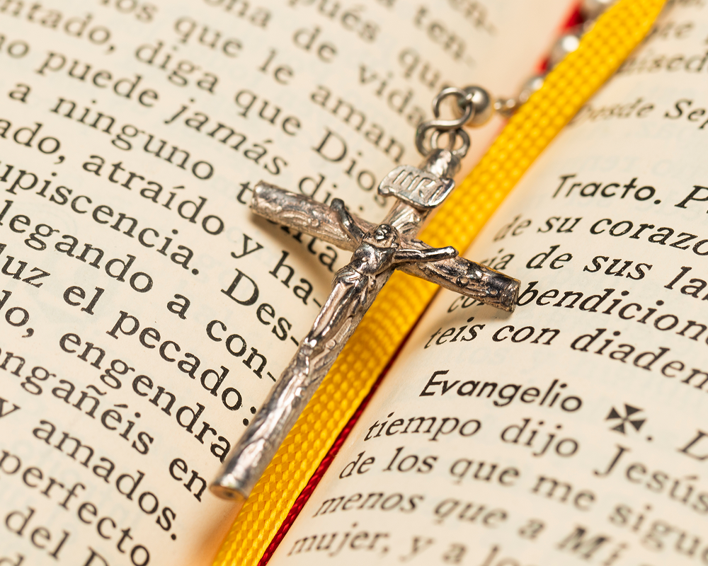 MBA in management courses kerala