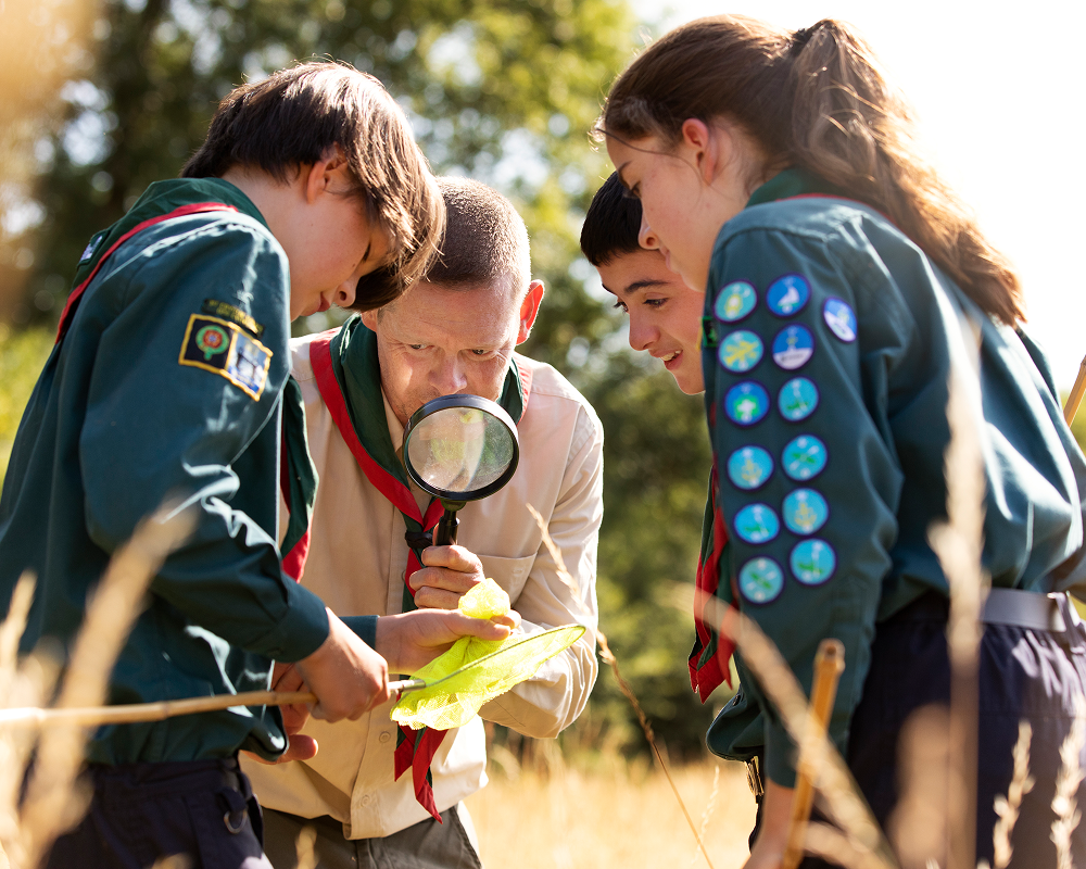 Bachelors of Business Management