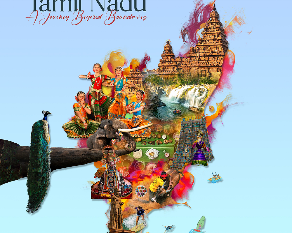 Diploma Courses in Kerala