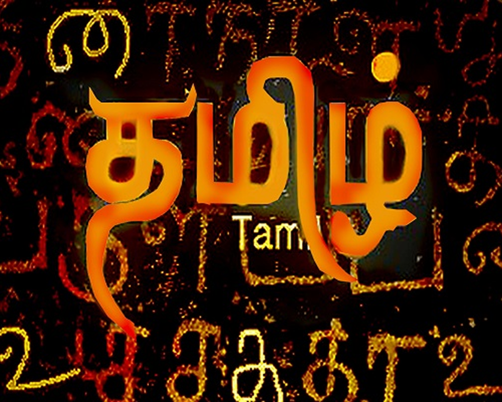 MBA in shipping and logistics